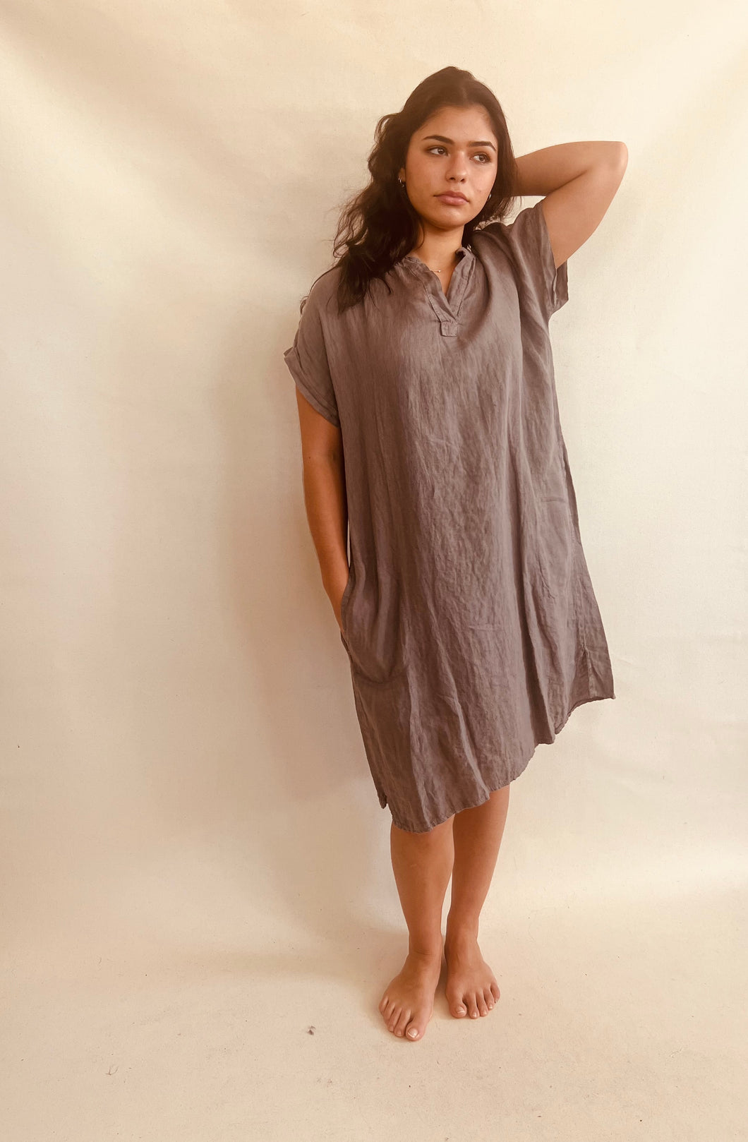 Zara Dress in Taupe